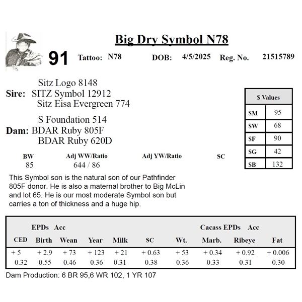 Big Dry Symbol N78