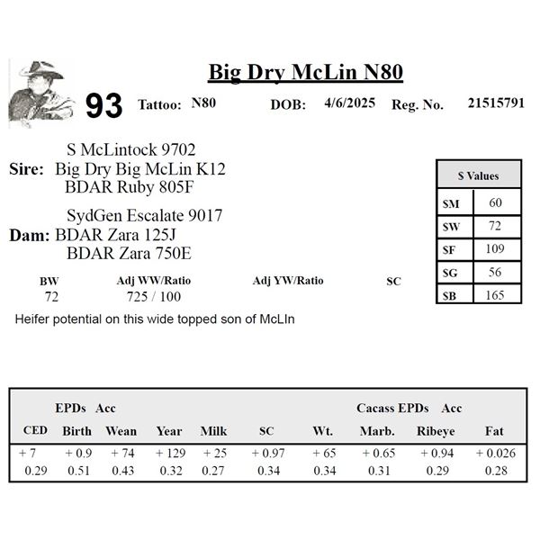 Big Dry McLin N80