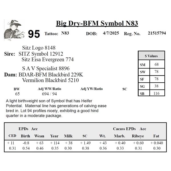 Big Dry-BFM Symbol N83