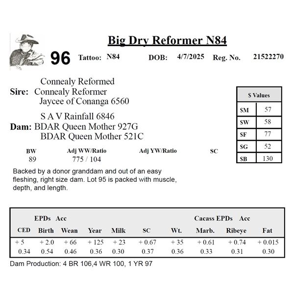 Big Dry Reformer N84