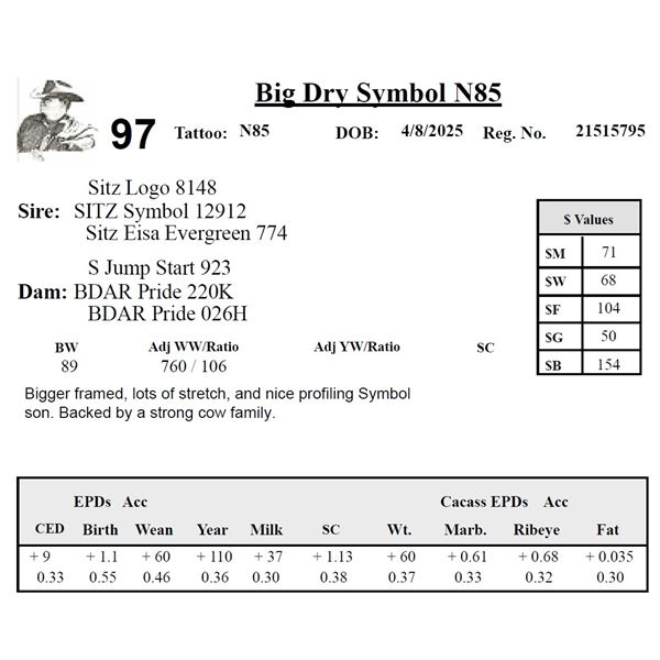 Big Dry Symbol N85