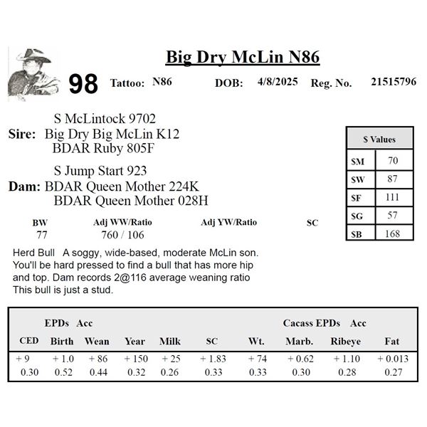 Big Dry McLin N86