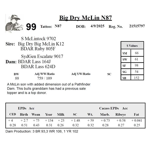 Big Dry McLin N87