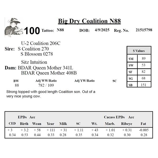 Big Dry Coalition N88