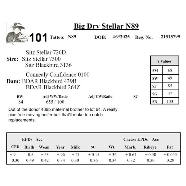 Big Dry Stellar N89