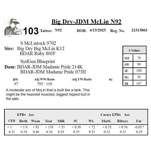 Big Dry-JDM McLin N92