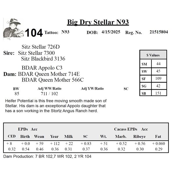 Big Dry Stellar N93