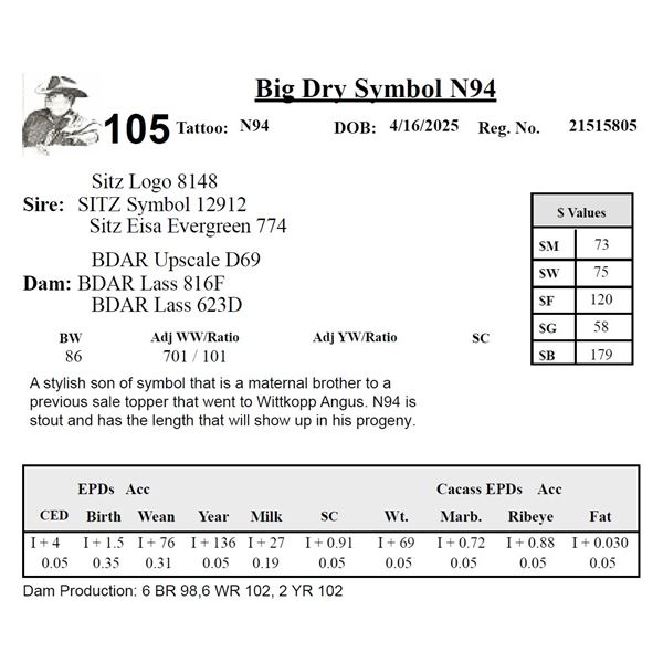 Big Dry Symbol N94