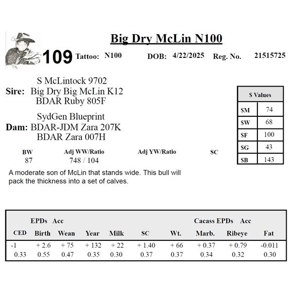 Big Dry McLin N100