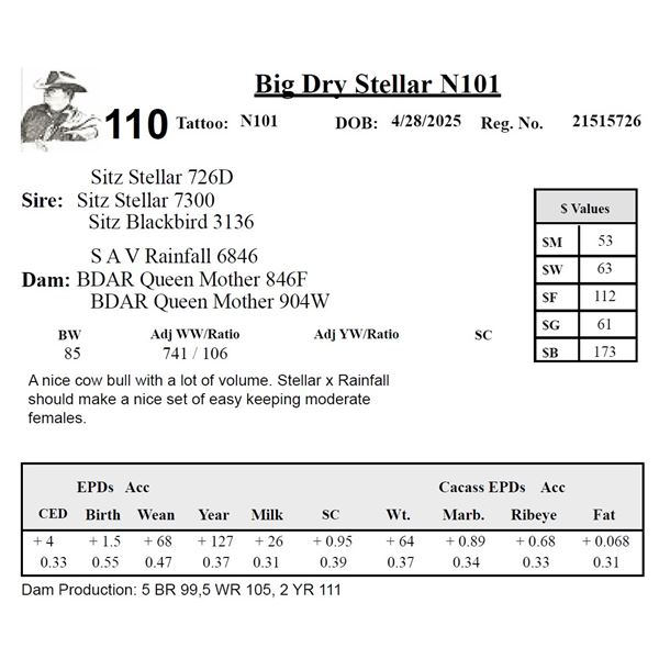 Big Dry Stellar N101