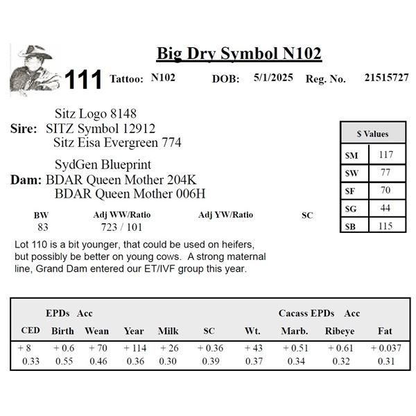 Big Dry Symbol N102