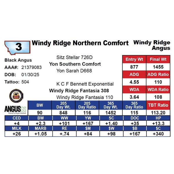 Windy Ridge Northern Comfort