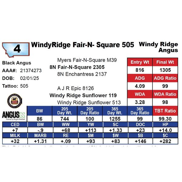 WindyRidge Fair-N- Square 505