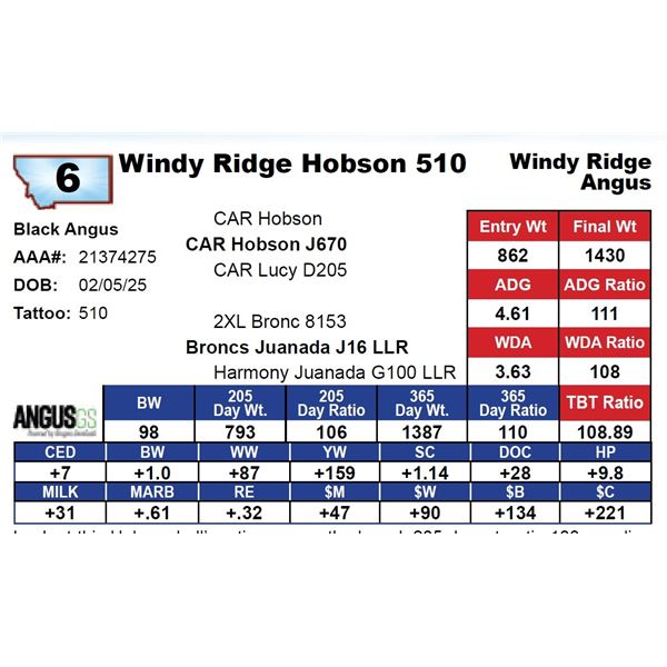 Windy Ridge Hobson 510
