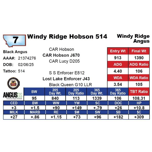 Windy Ridge Hobson 514
