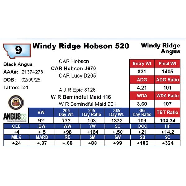 Windy Ridge Hobson 520