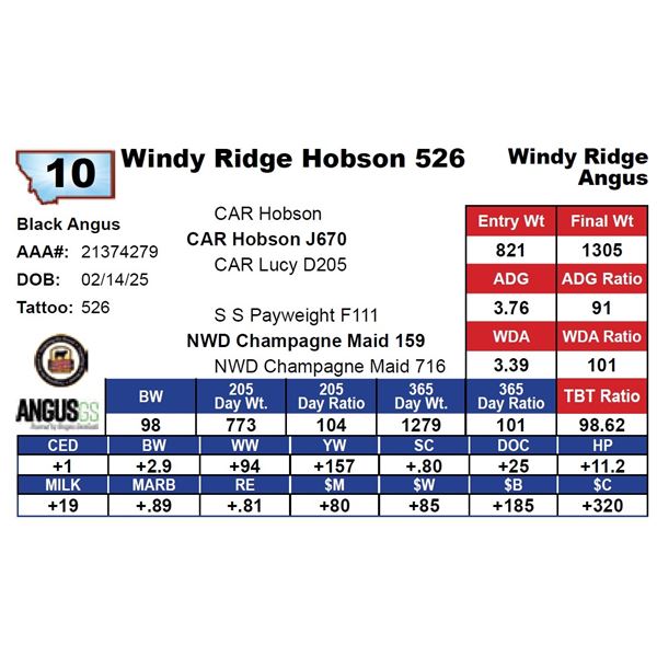 Windy Ridge Hobson 526