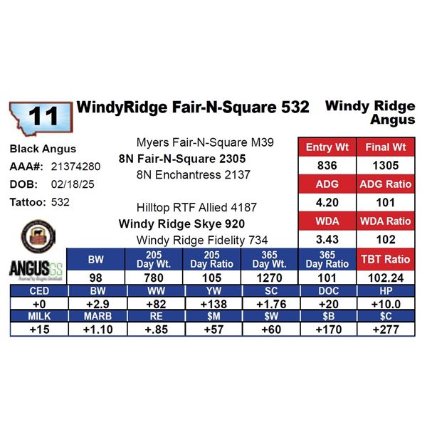 WindyRidge Fair-N-Square 532