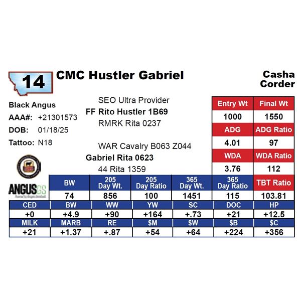 CMC Hustler Gabriel