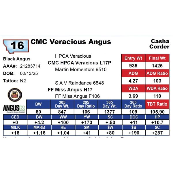 CMC Veracious Angus