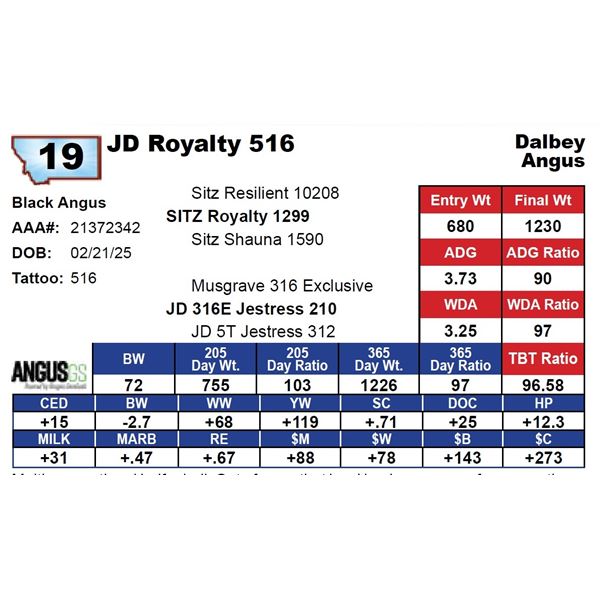 JD Royalty 516