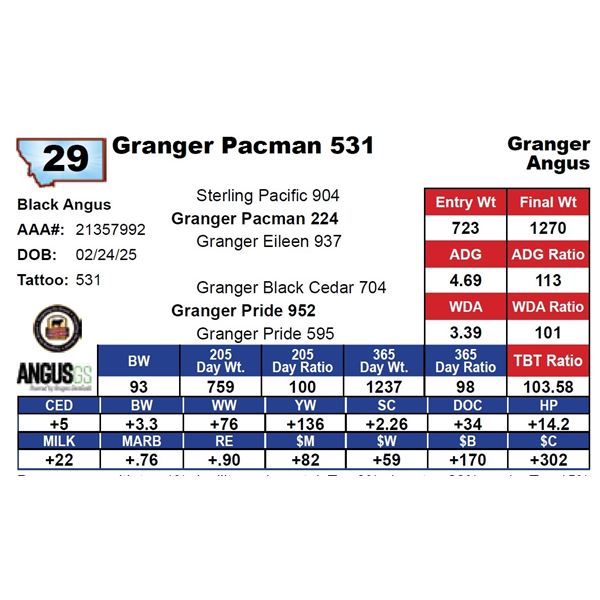 Granger Pacman 531