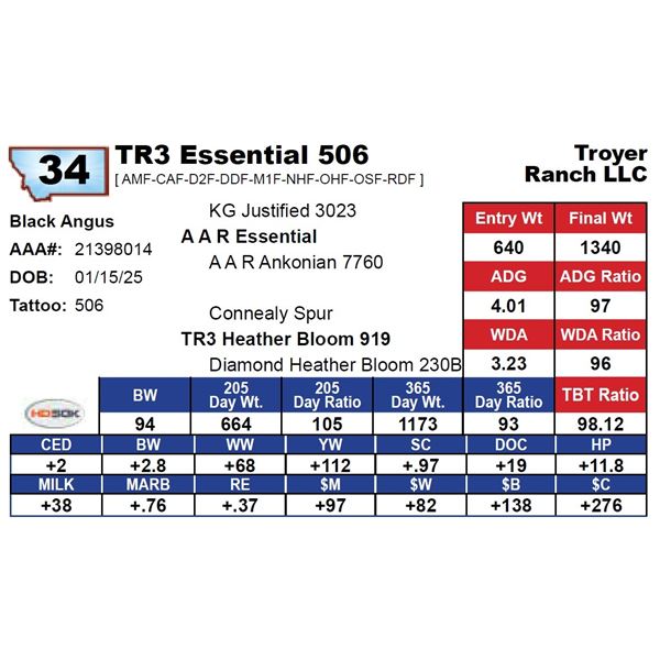 TR3 Essential 506