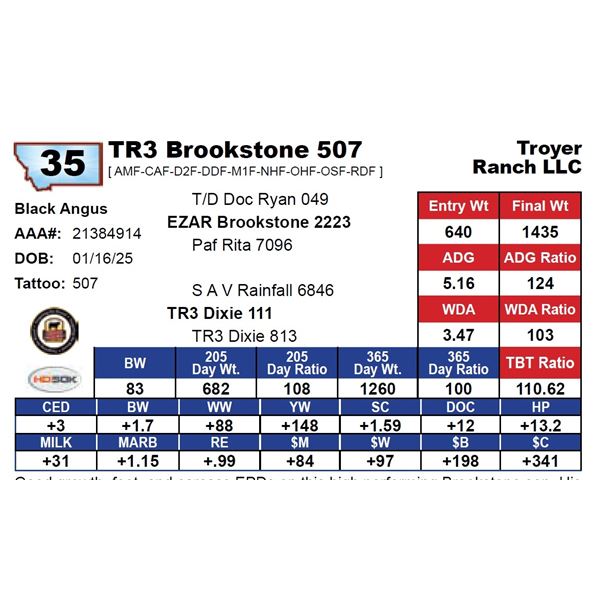 TR3 Brookstone 507