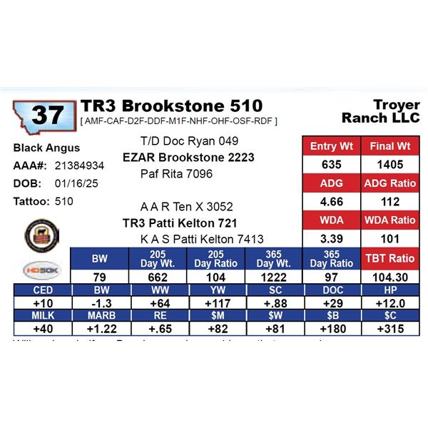 TR3 Brookstone 510