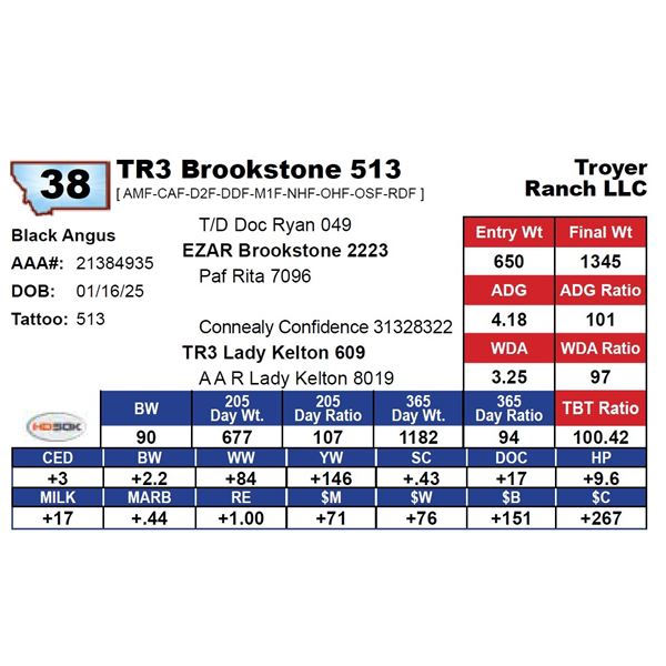 TR3 Brookstone 513