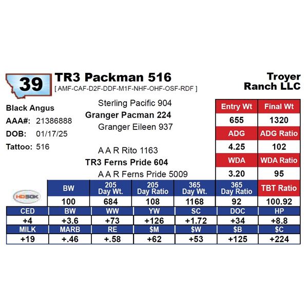 TR3 Packman 516