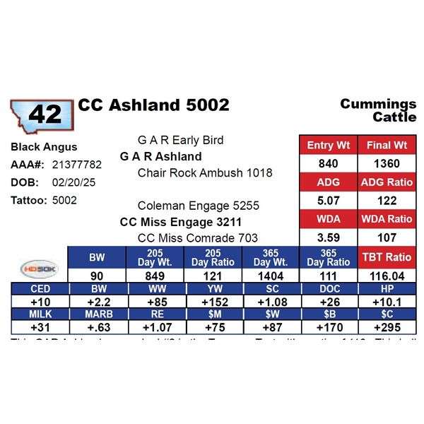 CC Ashland 5002