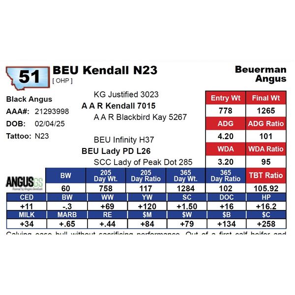 BEU Kendall N23