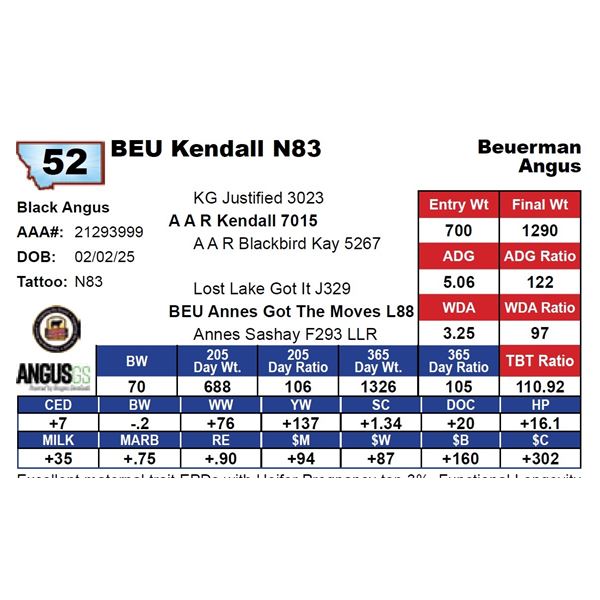 BEU Kendall N83