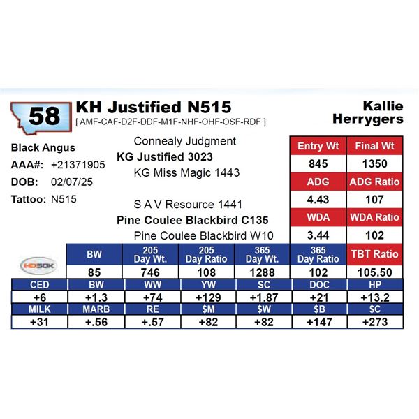 KH Justified N515