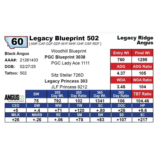 Legacy Blueprint 502