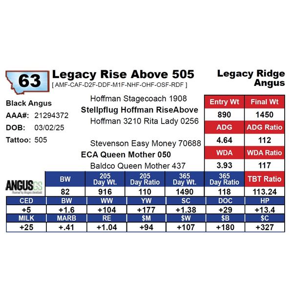 Legacy Rise Above 505