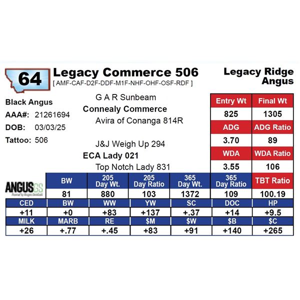 Legacy Commerce 506