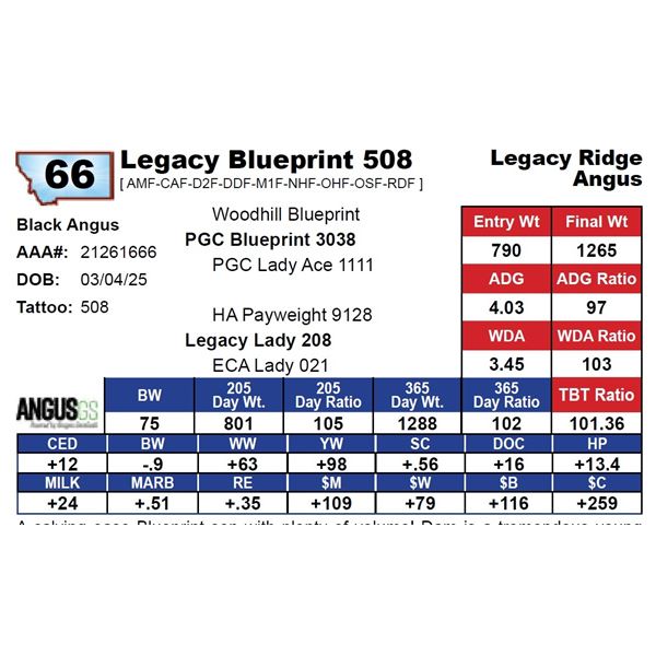 Legacy Blueprint 508