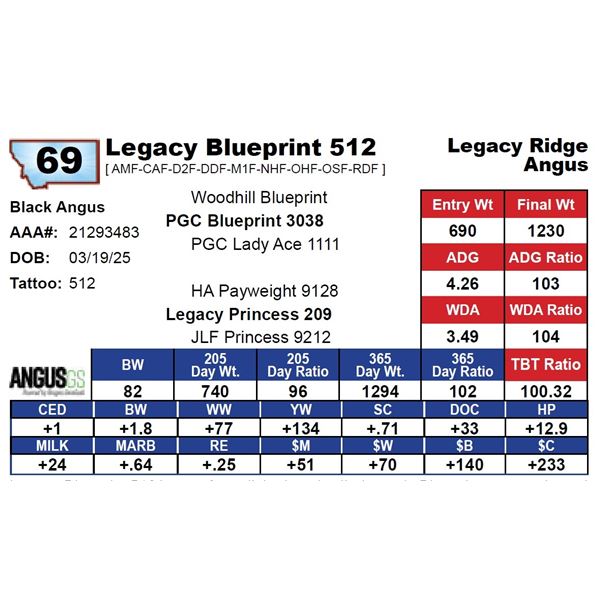 Legacy Blueprint 512