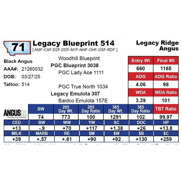 Legacy Blueprint 514