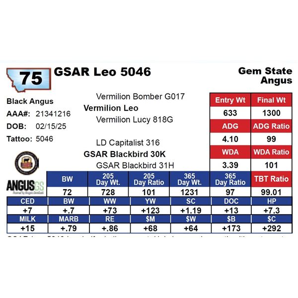 GSAR Leo 5046