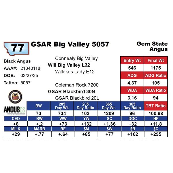 GSAR Big Valley 5057