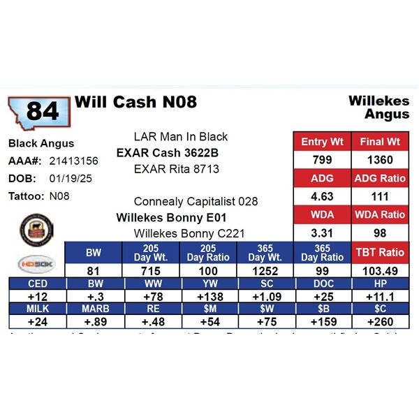 Will Cash N08