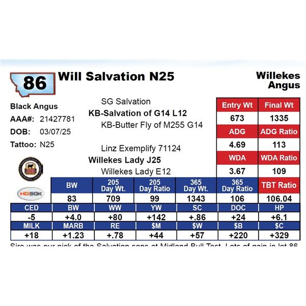 Will Salvation N25