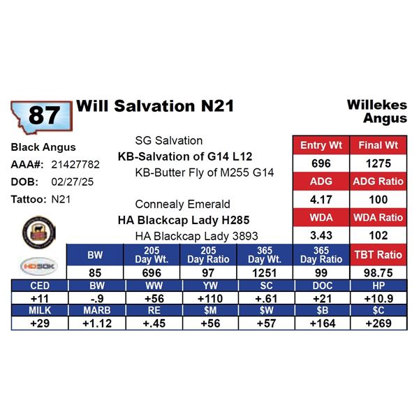Will Salvation N21