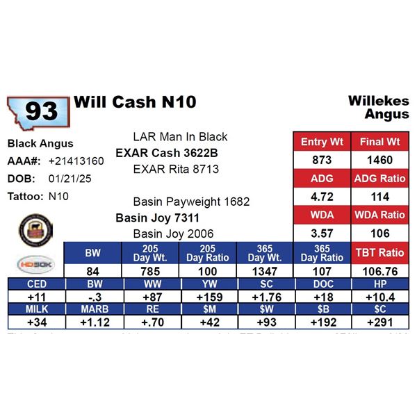 Will Cash N10