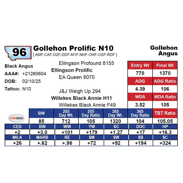 Gollehon Prolific N10