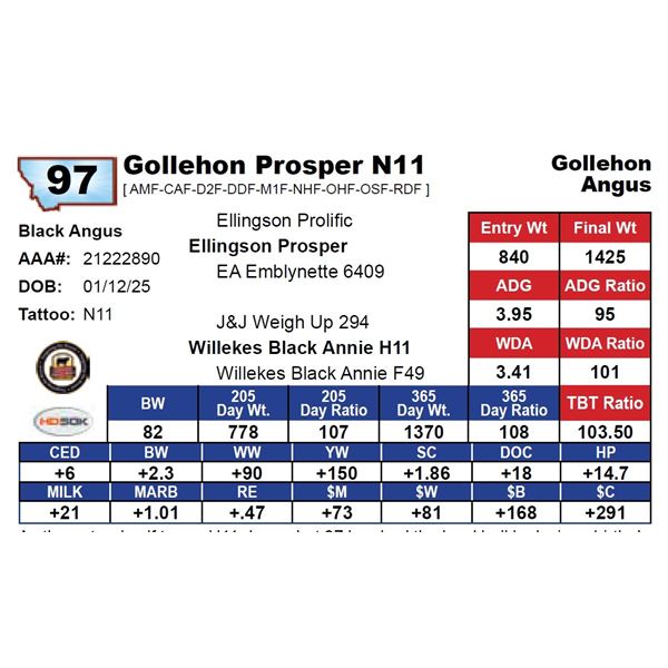 Gollehon Prosper N11