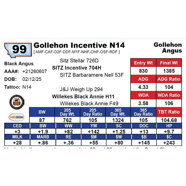 Gollehon Incentive N14